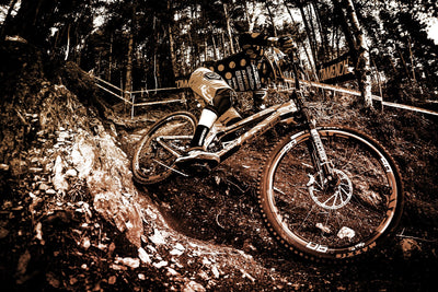 Trail Bikes