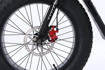 GoTyger 500W 20 in. 4.0 Fat Tire 2 seat Ebike
