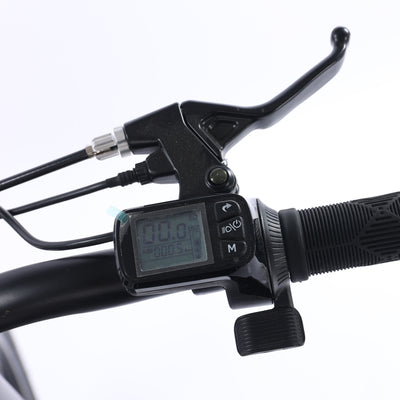 GoTyger 500W 20 in. 4.0 Fat Tire 2 seat Ebike