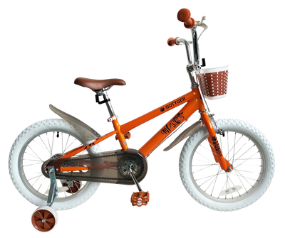 GoTyger 18 in. Boy Bike
