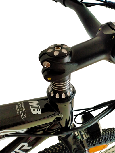 GOTYGER 21 SPEED E-BIKE